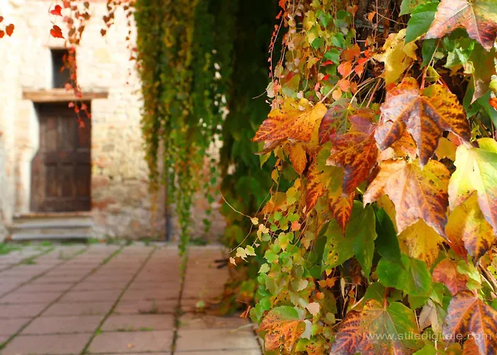 Corte D'aibo Фермерский дом Монтевельо