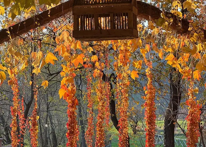 Фермерский дом Corte D'aibo