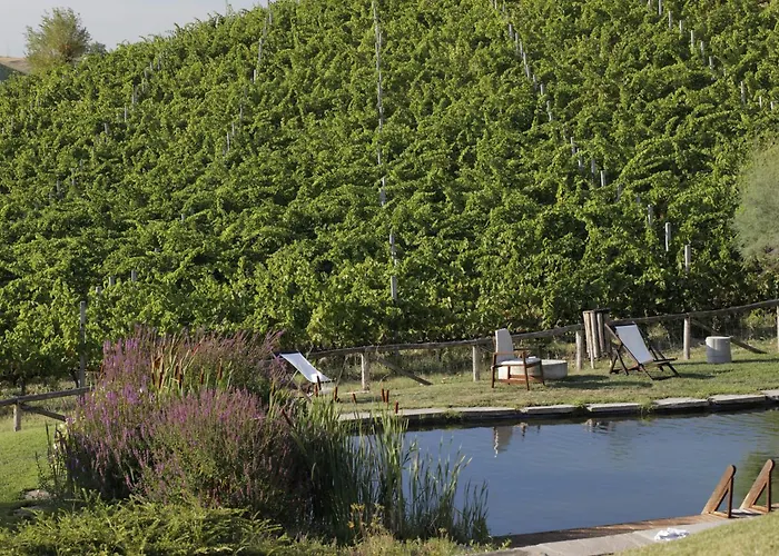 Corte D'aibo Фермерский дом Монтевельо