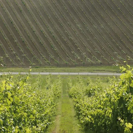 Corte D'aibo 팜스테이