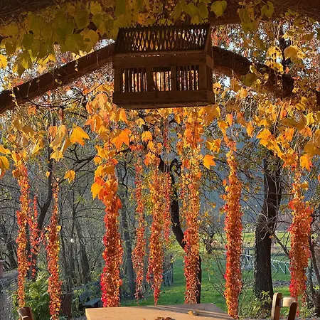 Çiftlik konaklama Corte D'aibo