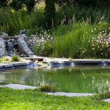 Corte D'aibo Monteveglio