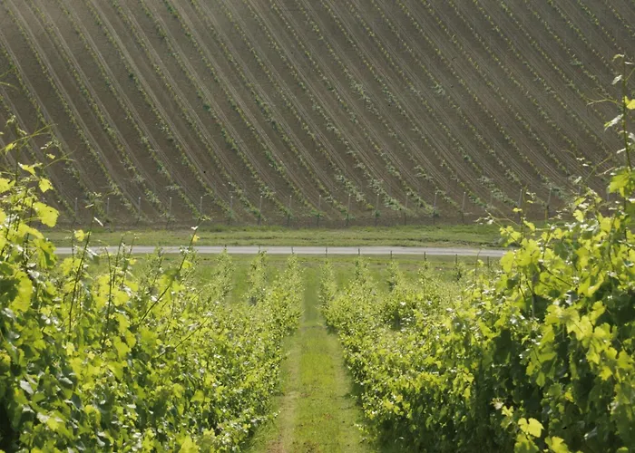 Corte D'aibo Vakantieboerderij