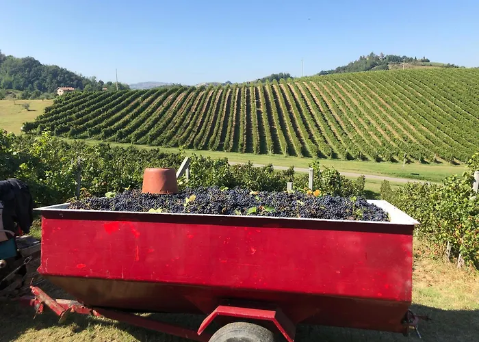 Vakantieboerderij Corte D'aibo Monteveglio