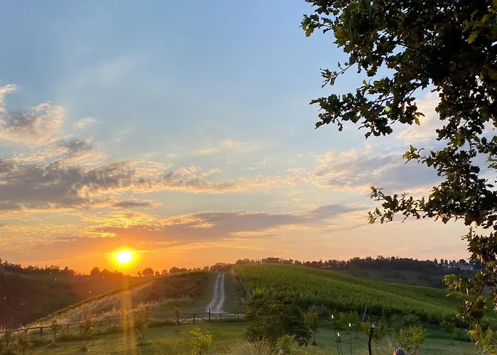 寇德艾博酒店 农家乐 *