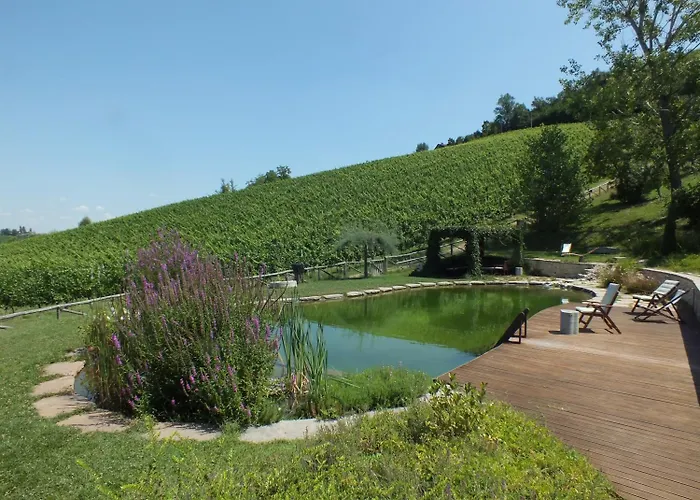 寇德艾博酒店 蒙特韦廖